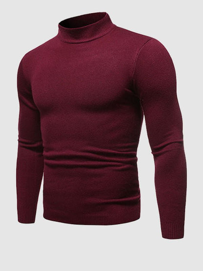 AARON | CLASSIC SLIM TURTLENECK