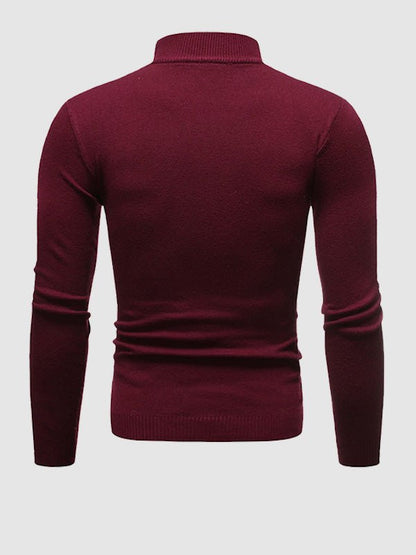 AARON | CLASSIC SLIM TURTLENECK